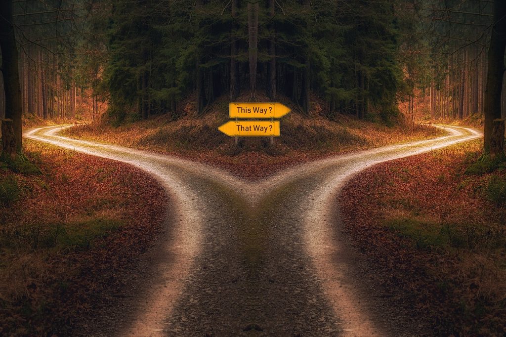 decision, path, signpost-5291766.jpg